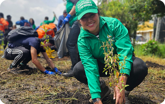 Colaboradora de Ciudad Limpia participando en una jornada ambiental de siembra, plantando un árbol mientras otras personas apoyan la actividad en el fondo.